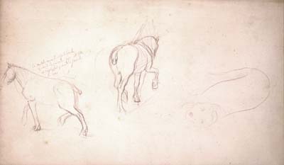17 Studies of Draught Horses2