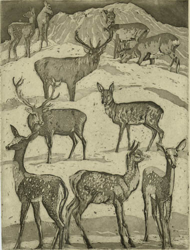 Edgar Imler - Deer Park